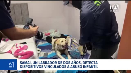 Datos sitúan al país en el séptimo puesto regional en reportes de explotación y abuso sexual de niñas, niños y adolescentes en entornos digitales. Un reportaje de María Fernanda Utreras