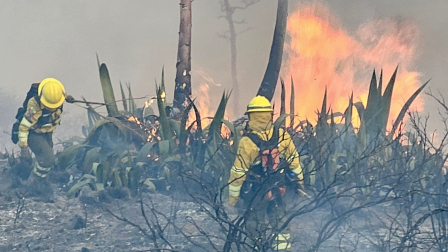 Pabel Muñoz confirmó que incendios en el cerro Casitagua se mantiene activo la noche de este domingo 20 de septiembre.