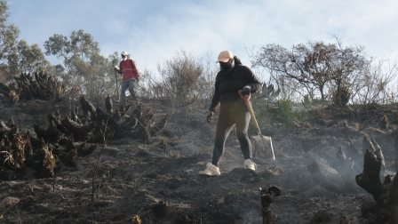 Ciudadanos ayudaron a apagar el incendio forestal en el cerro Casitagua.
