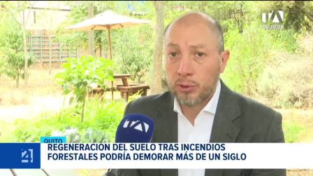 Expertos señalan que la recuperación del terreno calcinado dependerá del tipo de suelo y de lluvias moderadas que eviten la erosión de las zonas devastadas.  Un reportaje de Mishell Villacís