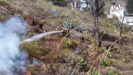Martín Bustamante, biólogo y director de WIWA, explica cómo los incendios afectan a la fauna silvestre y ponen en riesgo su hábitat.