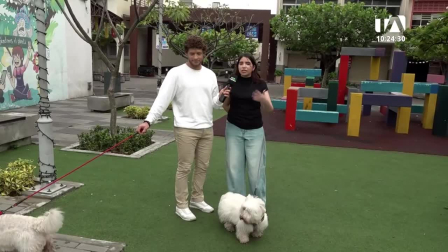 Adriana Hurtado, estudiante ecuatoriana de producción para medios, es finalista en el Festival de Canes 2026 con su cortometraje “Un encuentro lluvioso en la calle Panamá”.