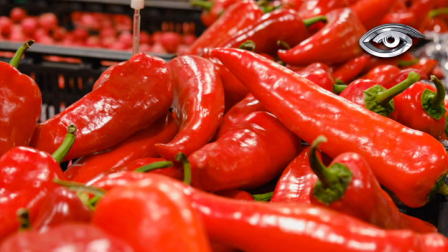Hay quienes le ponen ají a todo y quienes no soportan ni una pizca. Pero ¿qué tan resistente es usted al picor? La respuesta está en la capsaicina y en la escala de Scoville, que mide su intensidad. En Ecuador hay ajíes de distintos niveles de picante. Seguimos la pista del ají para descubrir qué hay detrás de ese picor que divide a los comensales.