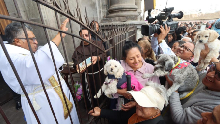 La iglesia de San Francisco realizará este 3 de octubre una jornada de bendición para perros, gatos y otras mascotas.