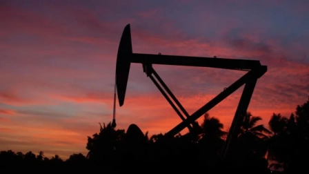 La Cámara de Industrias y Producción actualizó los precios referenciales de petróleo, cacao, plátano, oro y otros productos, además del riesgo país de Ecuador para este 29 de septiembre.