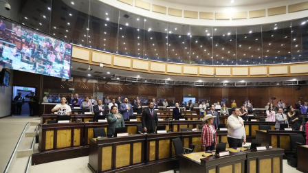 El Pleno de la Asamblea analiza, en segundo debate, la Ley para prevenir el reclutamiento de niños y adolescentes.