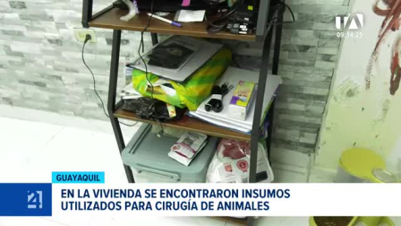 Autoridades rescataron a varias mascotas durante el operativo de control e instaron a la ciudadanía a denunciar establecimientos que operen de forma irregular. Un reportaje de Camila Guevara