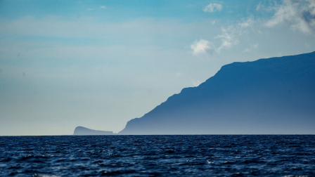 Durante meses científicos recorrieron distintos sitios de Galápagos para buscar ballenas azules y no las encontraron.