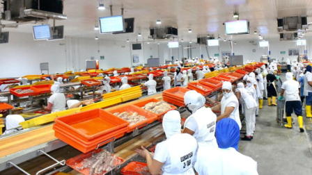 Comercio y manufactura son las áreas en donde más creció la inversión extranjera directa.
