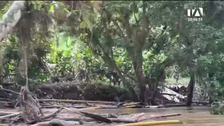 Las autoridades suspendieron las fiestas de provincialización y reasignaron 600 mil dólares para atender las afectaciones. Un reportaje de Gregory Rosero