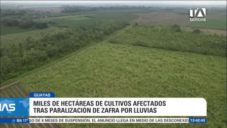 El adelantamiento del cierre de la zafra debido a las precipitaciones asociadas a El Niño generó fuertes perjuicios económicos al sector. Un reportaje de Bernarda Cevallos