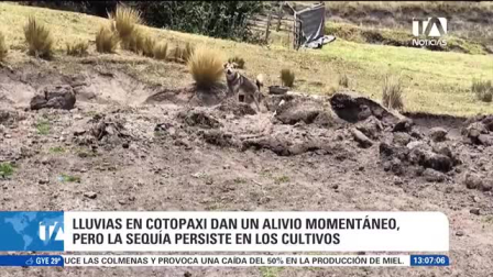 Comuneros de Archipamba enfrentan severas pérdidas en su producción agrícola y problemas para alimentar a sus animales debido al deterioro de los páramos, poniendo en riesgo el sustento familiar. Un reportaje de Juan Pablo Toro