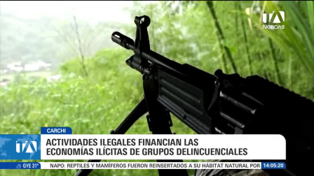 La fuerza pública intensifica intervenciones en la frontera norte para combatir las actividades de minería ilegal y el tráfico de sustancias ilícitas. Un reportaje de Jairo Jácome
