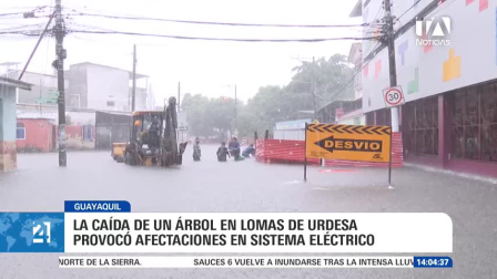 Las intensas lluvias también provocaron caídas de árboles y postes, además de varios accidentes de tránsito en diferentes sectores de la ciudad. Un reportaje de Ricardo Cruzatty