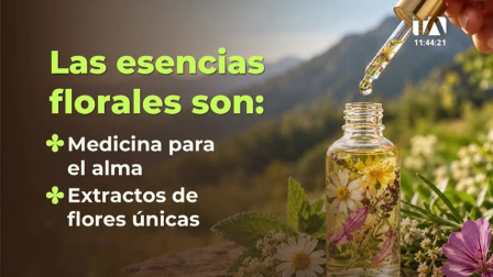 Alexandra Mena, creadora de esencias florales, comparte cómo elabora sus preparados con flores de la Amazonía, las montañas y los valles del Ecuador para trabajar las emociones mediante la terapia vibracional.