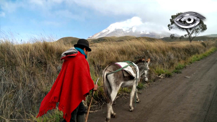 La partida de Baltazar Ushca pareció sentenciar la extinción de una de las tradiciones más sacrificadas de los Andes. Sin embargo, en el silencio del Chimborazo, el oficio no se apagó. Juan, el yerno de Baltazar y depositario de los secretos de esta rutina casi extinta, tomó el relevo y, a pesar de lo duro del camino, no está dispuesto a abandonarlo.