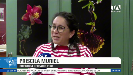 En una nueva entrega de Ecuador Megadiverso, se destacan las cerca de 500 especies de bromelias presentes en el país, plantas que crecen sobre las ramas de otros árboles y de las cuales varias son endémicas. Un reportaje de Nathalie Jiménez
