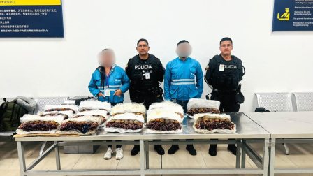La Policía Nacional decomisó 199 cangrejos rojos que pretendían ser exportados desde el aeropuerto Mariscal Sucre, en Quito.