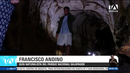 En la entrega de hoy de Ecuador Megadiverso, nos adentramos en las formaciones geológicas subterráneas del archipiélago de las Galápagos. Los imponentes túneles de lava, moldeados por antiguos flujos volcánicos, constituyen un ecosistema sumamente frágil que alberga especies adaptadas a la oscuridad total, como diversos insectos endémicos y animales de hábitos nocturnos. Un reporte de Nathalie Jiménez.