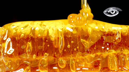 Esta sustancia dulce, natural y viscosa producida por las abejas, esconde un tesoro para la ciencia. Investigadores probaron muestras de distintas flores del país y hallaron que la miel ecuatoriana logra debilitar bacterias resistentes a los medicamentos. Analizamos este avance médico que pone a nuestras abejas en el centro de la salud mundial.