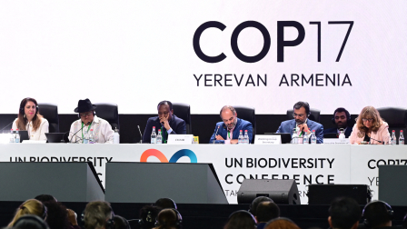 Ecuador gana la votación en la COP17 y organizará la próxima conferencia mundial sobre biodiversidad