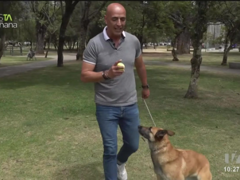 El entrenador Mauricio Davila nos da consejos para pasear a nuestras mascotas en el parque