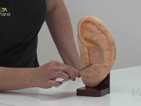 La terapia en la que se escanea el cuerpo en la oreja. Es una técnica de medicina alternativa que se basa en la estimulación puntos específicos en la oreja para tratar y diagnosticar dolencias.