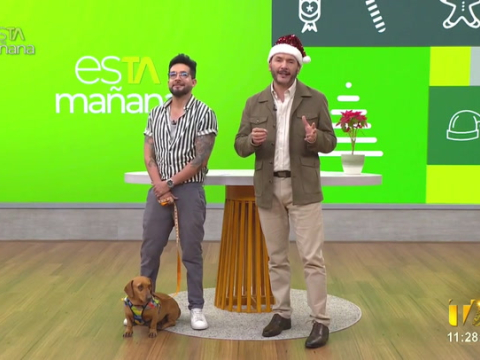 Paúl Méndez nos recuerda los cuidados que debemos tener con nuestras mascotas durante las festividades. Una charla imperdible en esTAmañana