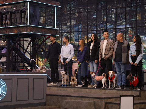 Ocho mascotas y sus dueños visitarons las cocinas de MasterChef Celebrity Ecuador.