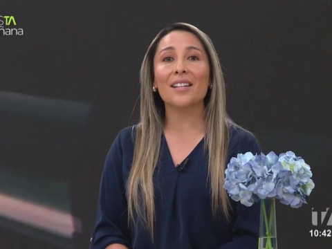 La experta financiera, Yess Noroña compartió tips para salir de las deudas que nos pueden aquejar y causar estrés finanaciero.