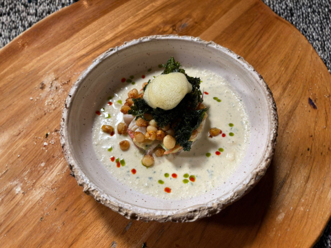 Este martes 31 de marzo del 2026 preparamos ceviche de queso manaba , junto al chef Felipe Campana.