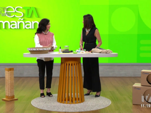 Carla Cifuentes, etóloga felina, explica qué es la gatificación, cómo adaptar los espacios del hogar a las necesidades de los gatos y por qué estos cambios favorecen su bienestar.