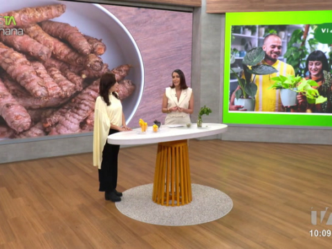 Isabel Espinoza, experta en plantas medicinales, comparte recomendaciones sobre para tratar la hiperplasia prostática con plantas medicinales.