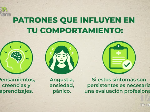 Rivka Mena, neurocientífica, explica cómo algunos patrones aprendidos pueden influir en nuestras respuestas y formas de afrontar la vida.