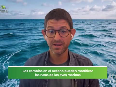 Sebastián Cruz, especialista en aves marinas, explica cómo la disponibilidad de alimento puede influir en los desplazamientos y ciclos reproductivos de estas especies.