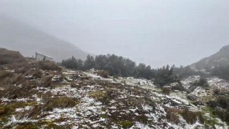 Una capa de nieve cubrió el Parque Nacional Cajas la mañana del jueves 3 de julio del 2025.