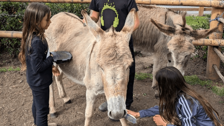 En una granja interactiva, los niños y adultos pueden tener un contacto directo con animales.