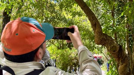 Cualquier persona puede utilizar la aplicación y registrar las fotografías de distintas especies que capture en el país.