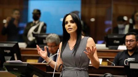 Marcela Holguín en una intervención en el Pleno de la Asamblea Nacional