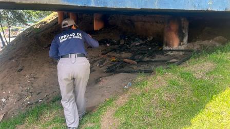 La perrita quemada fue atacada por desconocidos el 1 de junio de 2025