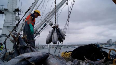El sector pesquero rechaza la eliminación del subsidio de diésel.