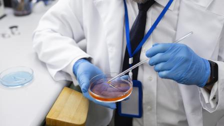 Una médico trabaja en un plato de petri en un proceso de laboratorio.
