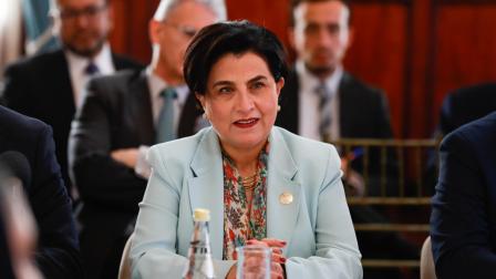 La canciller Gabriela Sommerfeld hizo el anuncio de un vuelo humanitario para ecuatorianos en Israel.
