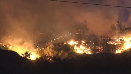En la isla griega de Creta se produjo, el miércoles 2 de julio del 2025, un incendio forestal.