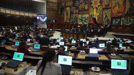El bloque de ADN de la Asamblea Nacional se pronunció por el casoe del legislador denunciado por supuesto abuso sexual a una menor de edad.