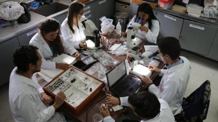 Los intresados pueden aplicar por las 60 becas que entregará el programa de cooperación entre Ecuador y Marruecos