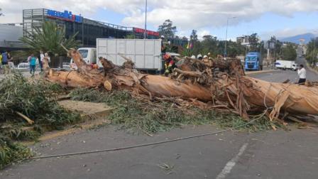 Los Bomberos y la Agencia Metropolitana de Tránsito fueron las primeras entidades en asistir en la emergencia.