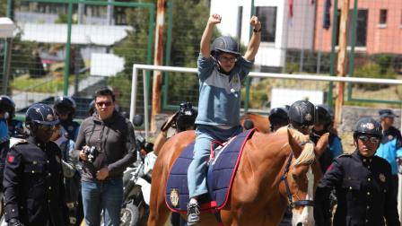 La equinoterapia para las personas con discapacidad mejoran su calidad de vida física y emocional.