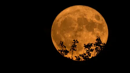 La Luna del Esturión también es conocida como luna de la abundancia