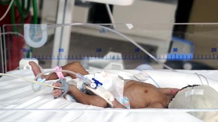 Fiscalía investiga la muerte de 12 neonatos en el Hospital Docente de Guayaquil.